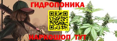 молекула духа Заволжье