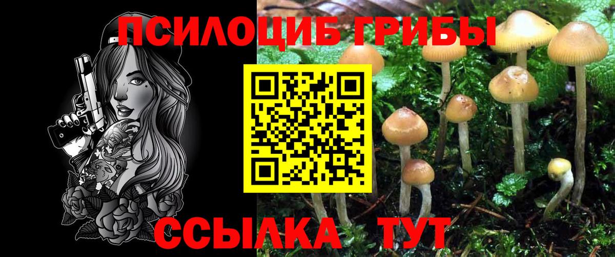 Псилоцибиновые грибы мухоморы Лабытнанги